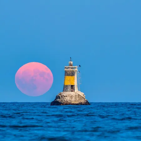 Cosher Gardenia Palace 6 Free Parking Поморие